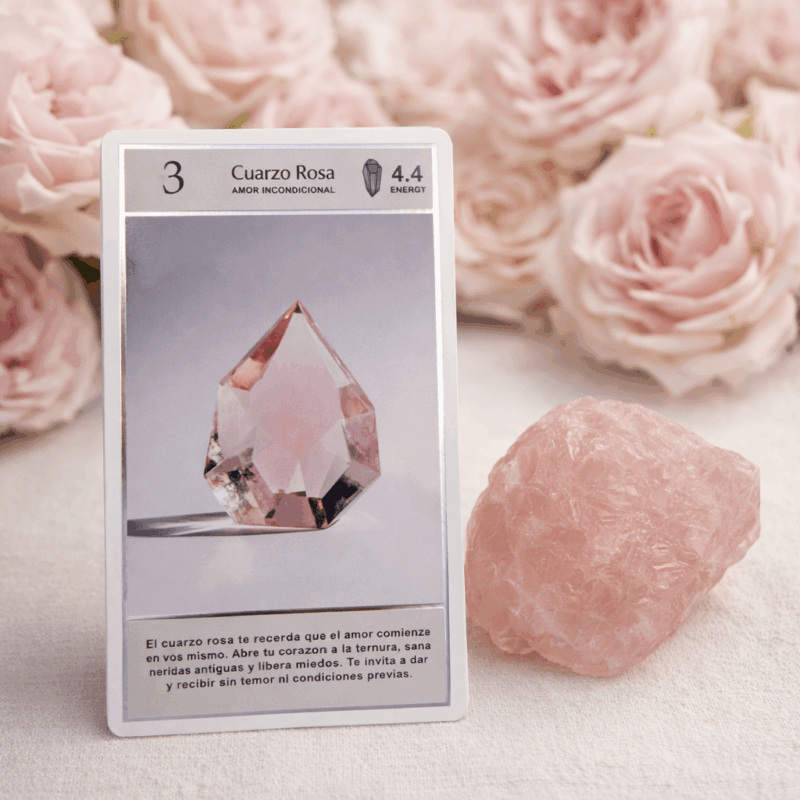 CFC528F0-0EF6-4C91-B92A-01CFE2FA9789